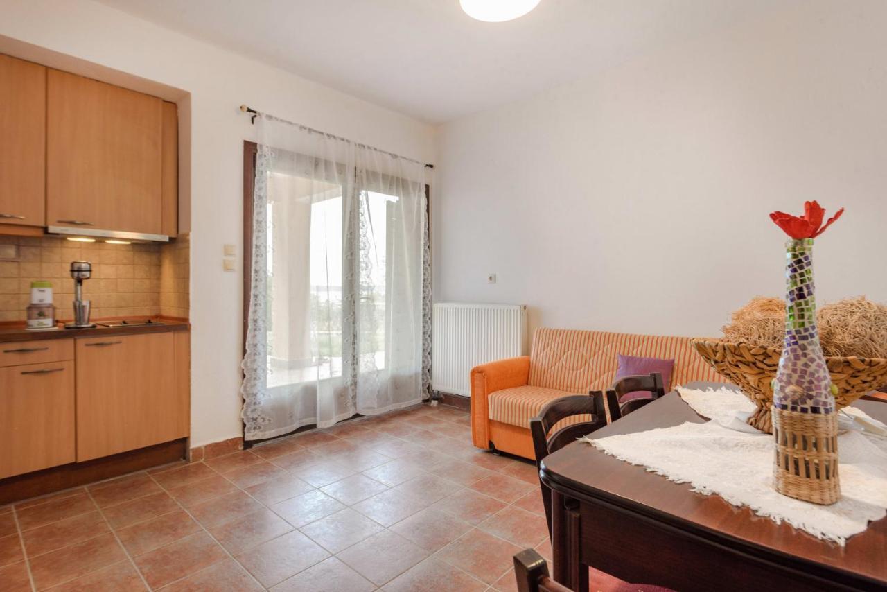 Danai House Apartment Nea Roda Bagian luar foto